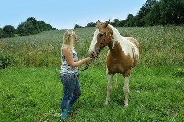 mit dem pferd unterwegs