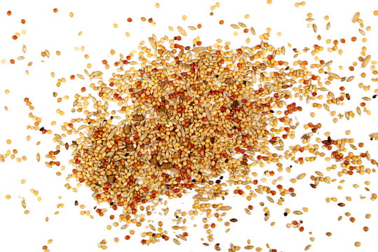 Mixed bird seed isolated on white background, top view