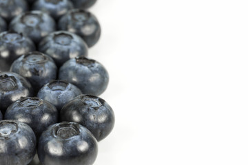 fresh blueberries isolated on white background