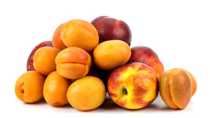  Nectarines and apricots on a white background