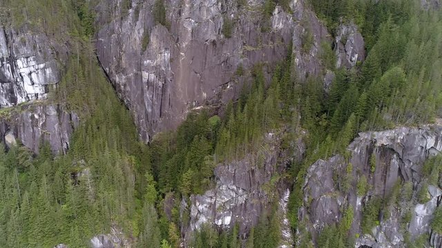 Aerial of Granite Rock Face on Large Mountain Cliffs in North American Forest
