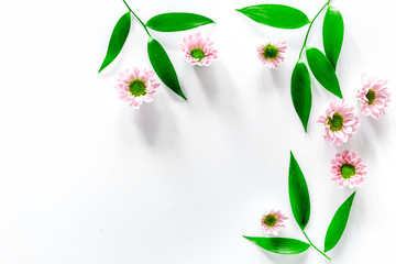 Little pink flowers on white background top view copyspace