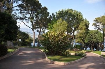 Monaco street view