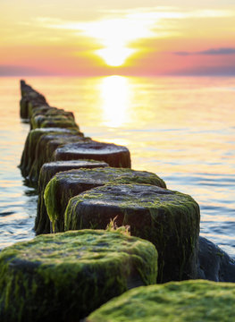 Wooden spur dykes in coastal sunset. Groynes and sea water.