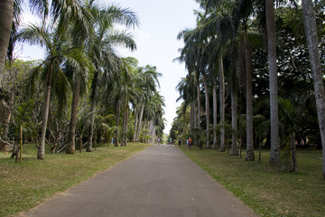 sri lanka