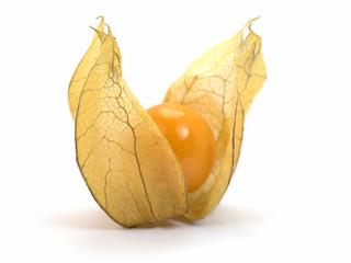 Physalis, Kapstachelbeere, Physalis peruviana