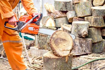 Lumberjack worker in full protective gear cutting firewood in forest with a professional chainsaw