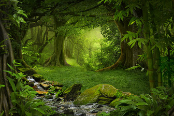 Tropical jungle © quickshooting