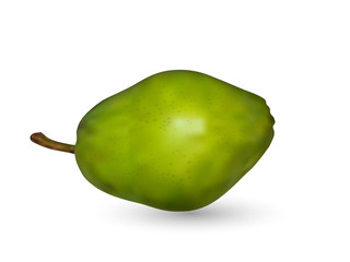 vector pear