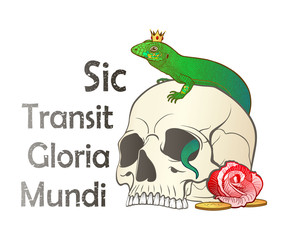 A color set of a skull, a lizard and a rose flower with a Latin aphorism, which reads - Thus passes the glory of the world. Vector drawing, isolated on background, for tattoo.