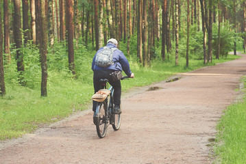 Naklejka premium Man riding a bike in a park. He is moving away from camera.