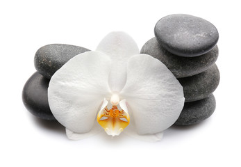 Fototapeta na wymiar Beautiful orchid flower with stones on white background