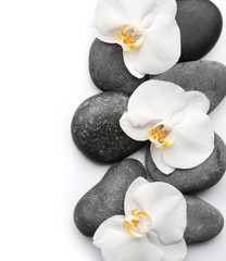Fototapeta na wymiar Beautiful orchid flowers with stones on white background