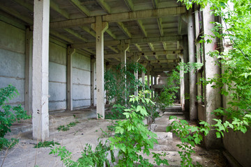 Fototapeta premium Abandoned overgrown industrial ruins