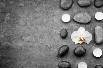 Composition with beautiful white orchid and stones on grey background