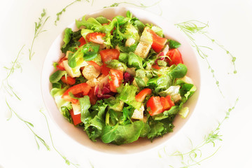 Vegetable salat with toppings such as mozzarella cheese, tomato, olive oil and spices