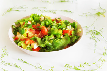 Vegetable salat with toppings such as mozzarella cheese, tomato, olive oil and spices