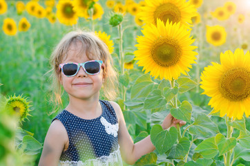 Beautiful little girl among bright sunflowers.