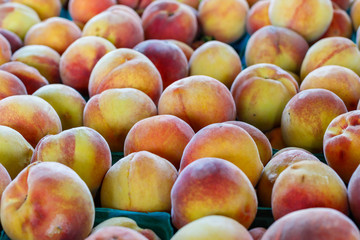 Fresh Peaches