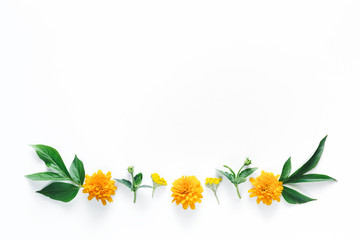 Border With Yellow Flowers And Green Leaves On White Background
