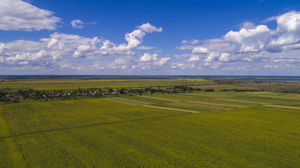 aerial view agriculture field summer day. Summer day landscape. 