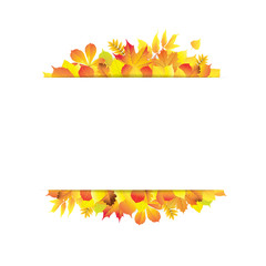 Beautiful autumn background with different autumn leaves and rectangular space for text. Vector illustration.