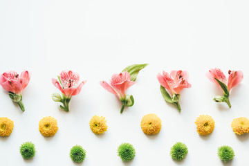 Floral Arrangement On White Background