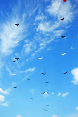Group of kites flying high in the blue sky. Kite festival