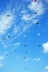 Group of kites flying high in the blue sky. Kite festival