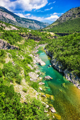 Naklejka premium top view of mountain river and canyon. the Tara river canyon, Durmitor national Park, Montenegro