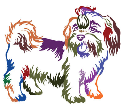 Colorful decorative standing portrait of dog shih-tzu, vector illustration