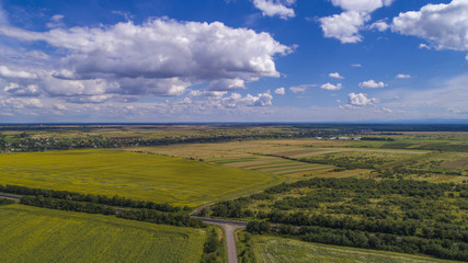 Fototapeta na wymiar aerial view agriculture field summer day. Summer day landscape. 