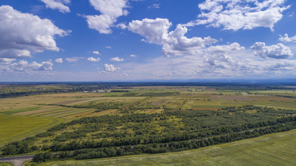 Fototapeta premium aerial view agriculture field summer day. Summer day landscape. 