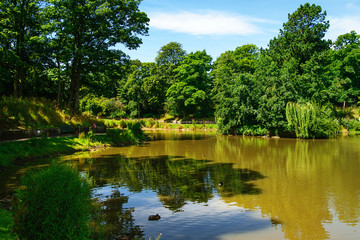 Lake. Summer time. Countryside landscape