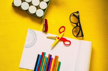 Multicolored markers on a pure album for creativity and ideas