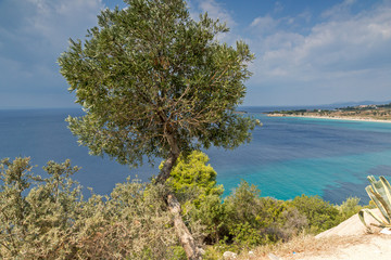 Fototapeta na wymiar Panoramic view of Agios Ioannis Beach at Sithonia peninsula, Chalkidiki, Central Macedonia, Greece