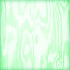 Fototapeta premium soft green wood plank texture for background.