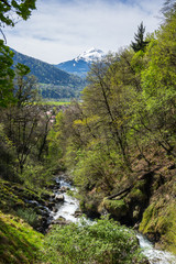 Mountain brook in Alps