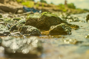 Stone in the water near the shore