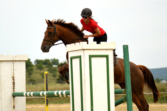 Saut D Obstacle Cheval Images – Browse 44 Stock Photos, Vectors, and Video