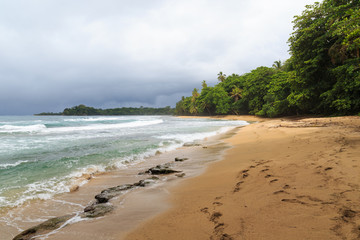 Beach forest and storm sky