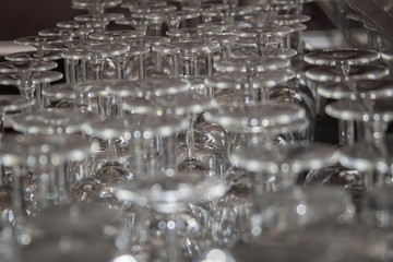 A lot of glass in the winery
