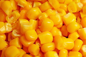 Yellow corn grains