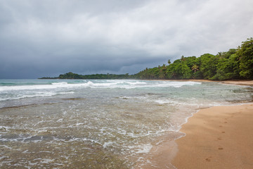 Beach forest and storm sky