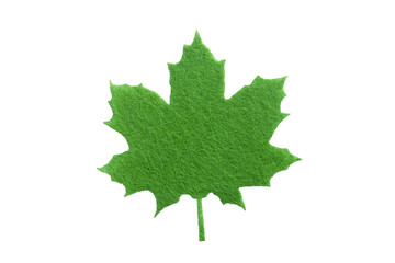 Fototapeta premium maple leaf,