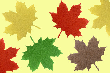 maple leaf,