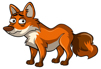 Fox with sleepy eyes