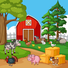 Many farm animals in the farmyard