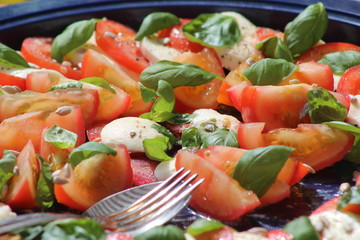 tomaten mozzarella salat