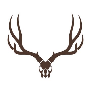 deer head skull. vector logo
